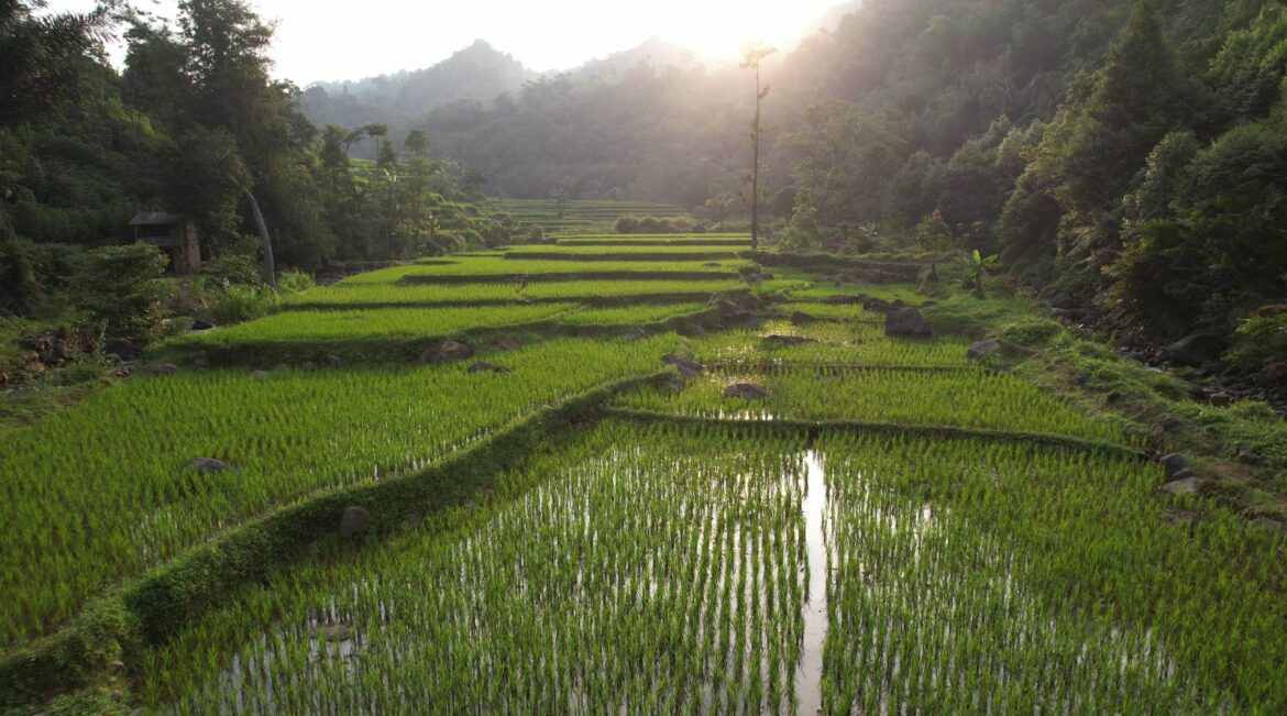 Pembangunan Harus Berkeadilan, Menteri Nusron: Reforma Agraria Jawab Ketimpangan Penguasaan dan Pemilikan Tanah