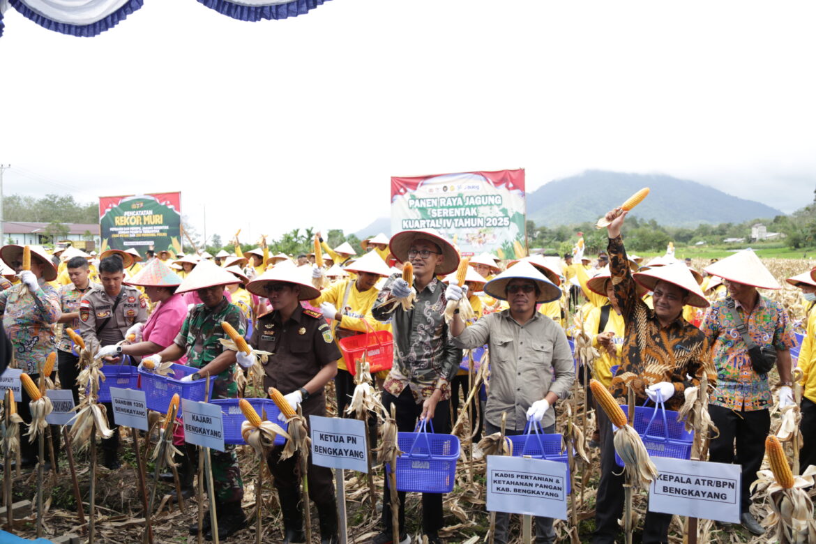 Kantor Pertanahan Kabupaten Bengkayang Ikuti Panen Raya Jagung Serentak Dukung Ketahanan Pangan Daerah
